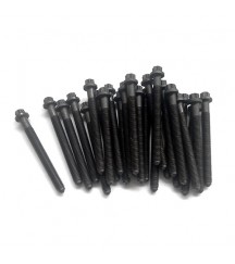 Six point screw 11700334